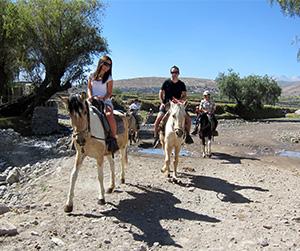 Tours en Arequipa: Tour Sabandía a caballo
