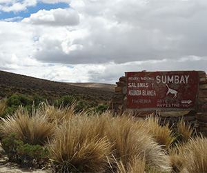 Tours en Arequipa: Cuevas de Sumbay o Mollopunko