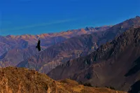 Galería Trekking Cañón del Colca: Sangalle (GRUPAL - 2 días) 3