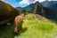 Valle Sagrado