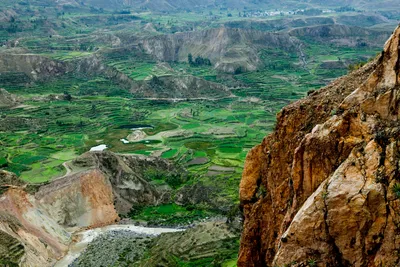 Imagen 5 de Tour Cañón del Colca Un día