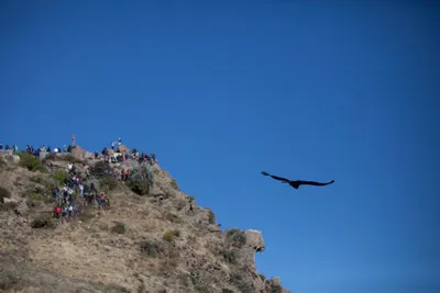 Tour Cañón del Colca Un día